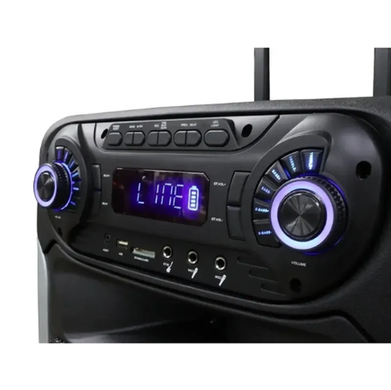 Акустическая система ZXX-9393, динамики 15&rdquo;, 2 радиомикрофона, Черный