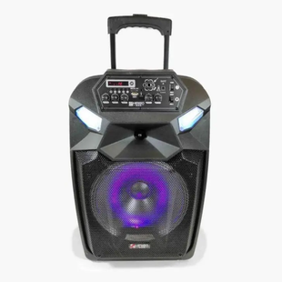 Колонка портативная акустическая KIMISO QS-1203 BT (12"BASS) | Bluetooth колонка | Колонка для музыки