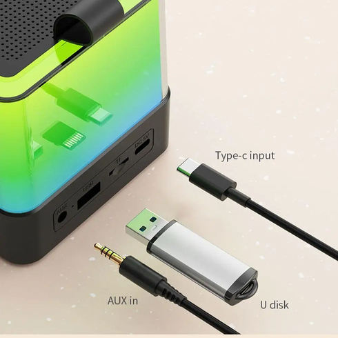 Портативная Bluetooth колонка-караоке с двумя микрофонами Wi-Fi