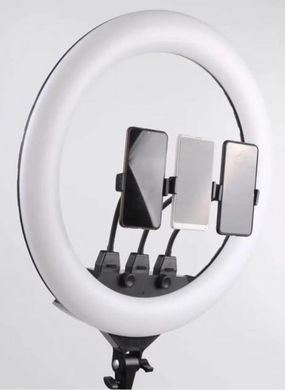 Профессиональная кольцевая LED лампа SLP-G63 с 3 держателями, пультом, диаметр 55 см с штативом