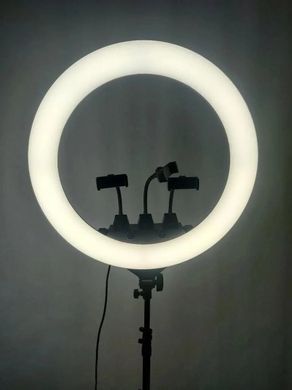 Профессиональная кольцевая LED лампа SLP-G63 с 3 держателями, пультом, диаметр 55 см с штативом