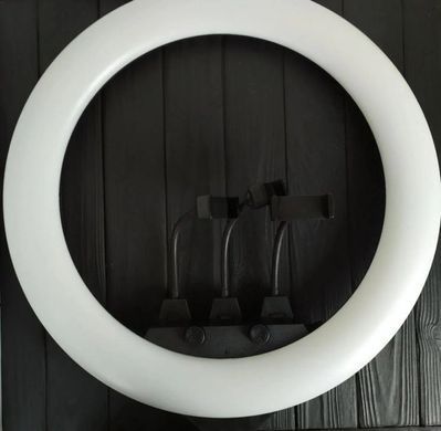 Профессиональная кольцевая LED лампа SLP-G63 с 3 держателями, пультом, диаметр 55 см с штативом